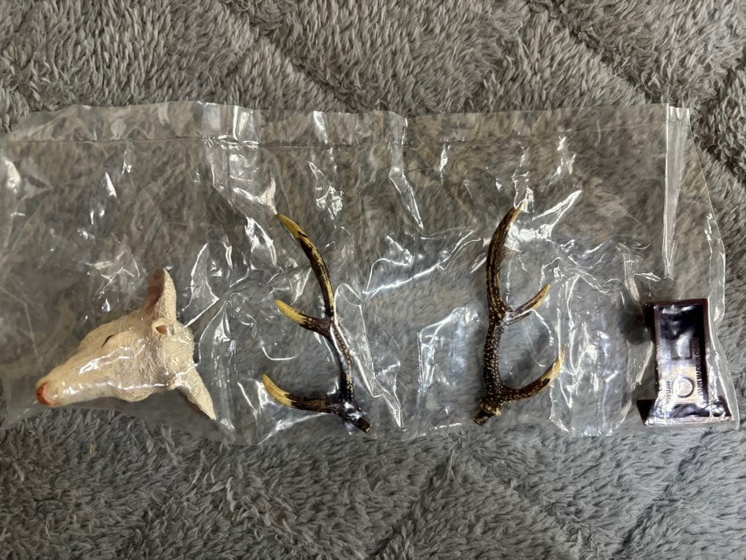 ハンティングトロフィー　シークレット　エゾシカ　ヘラジカ　ドールシープ　骨格標本