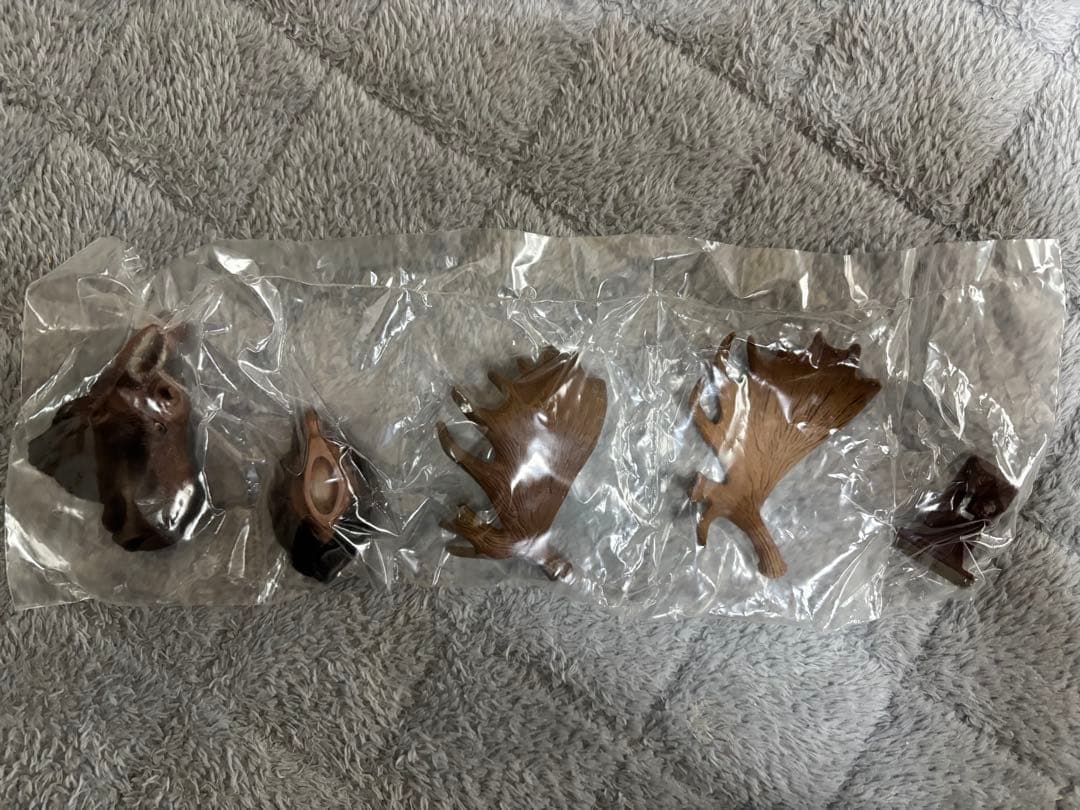 ハンティングトロフィー　シークレット　エゾシカ　ヘラジカ　ドールシープ　骨格標本