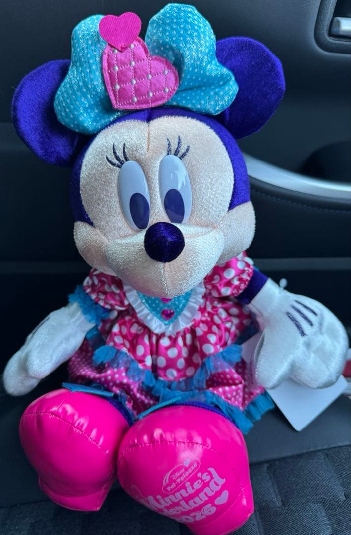 お顔厳選！ミニーのファンダーランド パルパルーザ ぬいぐるみ