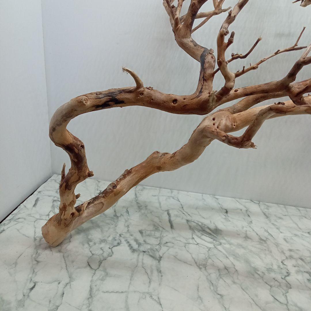 アク抜き済み流木【330】