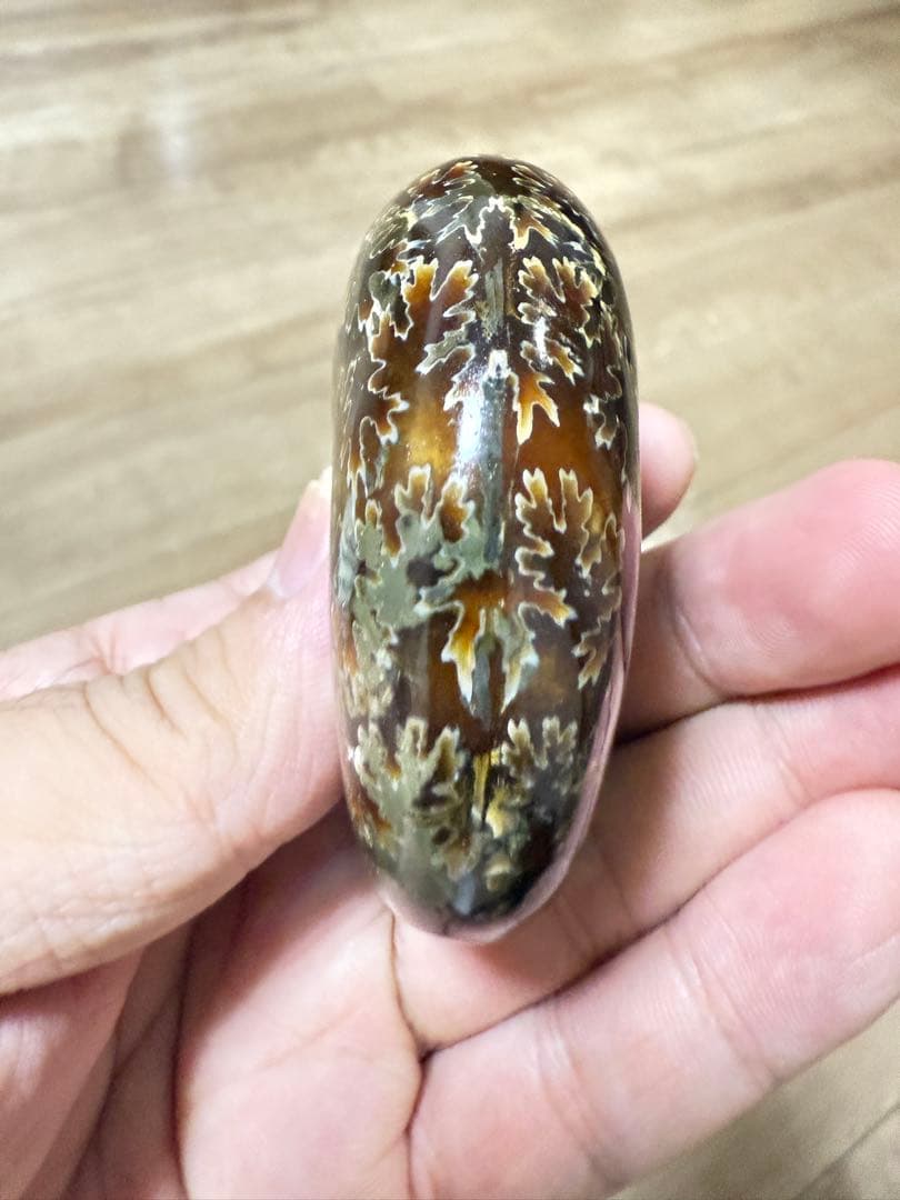 極美品マダガスカルのアンモナイト化石　2点セット　本物保証　希少な共生 送料無料