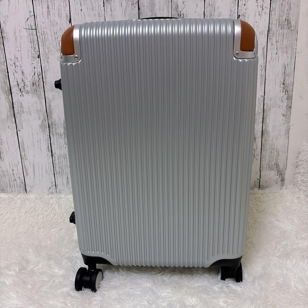 スイスミリタリー 20インチ スーツケース キャリーケース シルバー 機内持込み