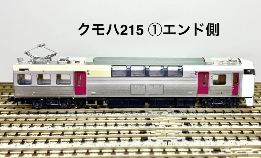 ＊絶版 精巧モデル＊215系2次車 ”ホリデー快速ビューやまなし”10両セット