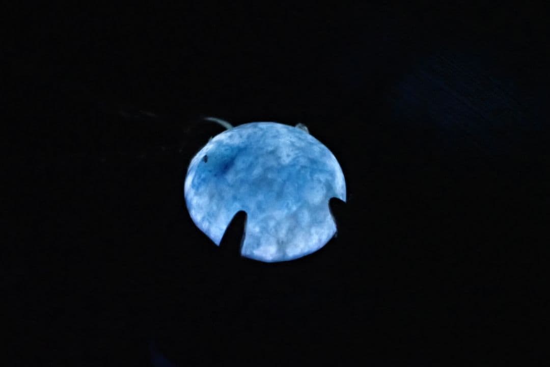 新品　未使用　糸魚川翡翠　入コン沢　青　10金　丸　ネックレス　送料無料