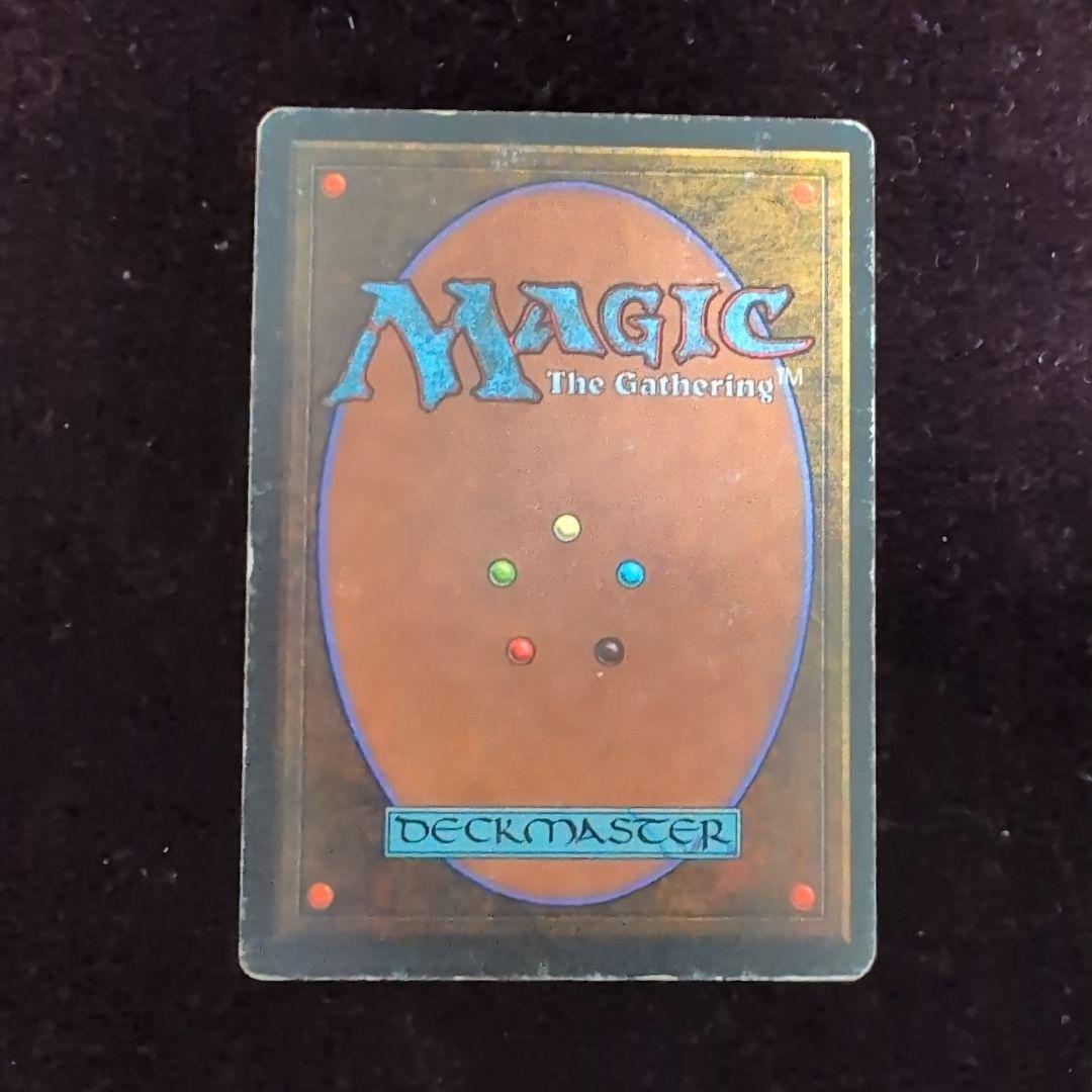 ポ*フ様 MTG　Tropical 　3ED