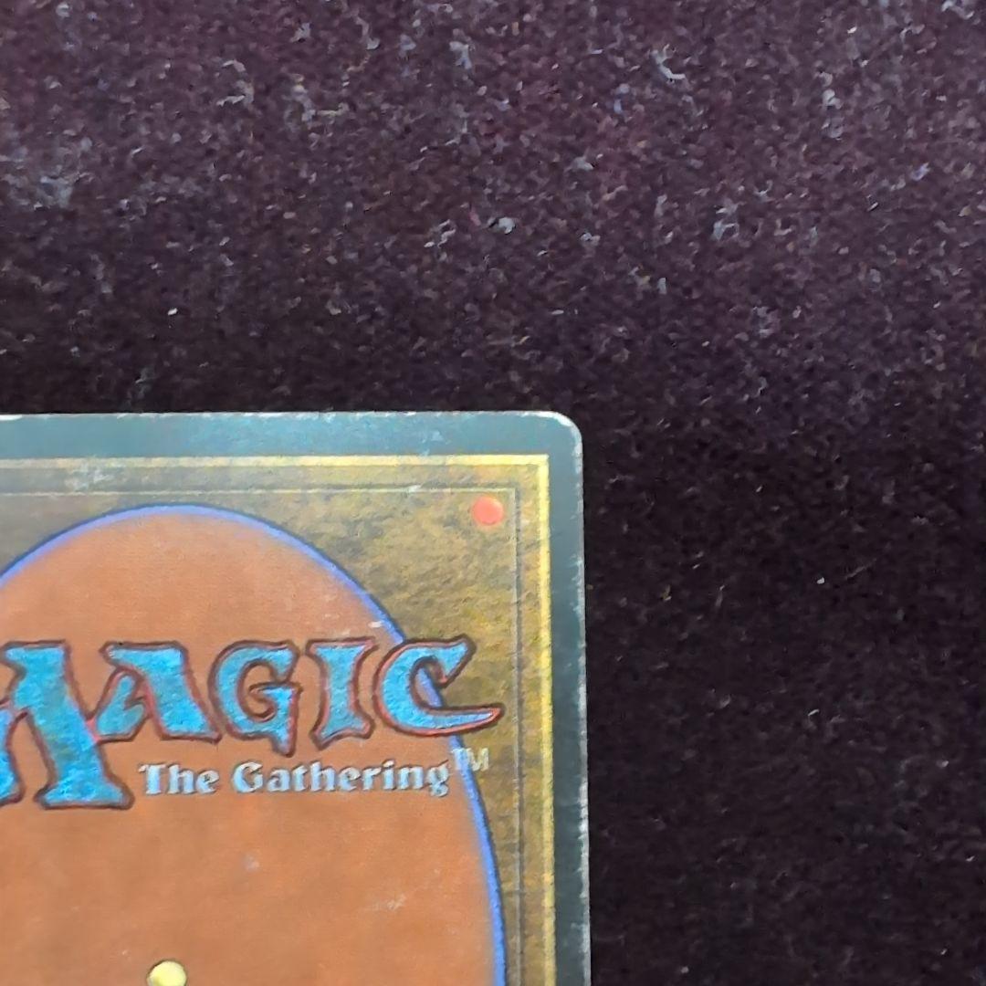 ポ*フ様 MTG　Tropical 　3ED