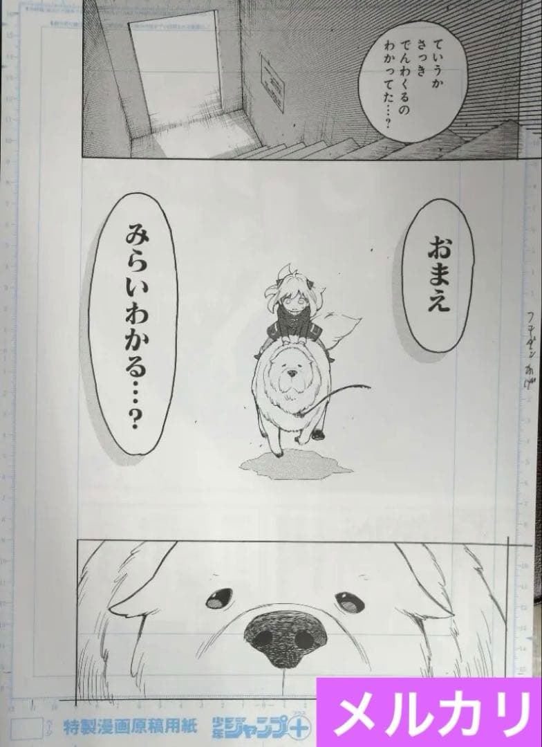 SPY×FAMILY アニメ スパイファミリー ジャンプ 漫画 マンガ レア