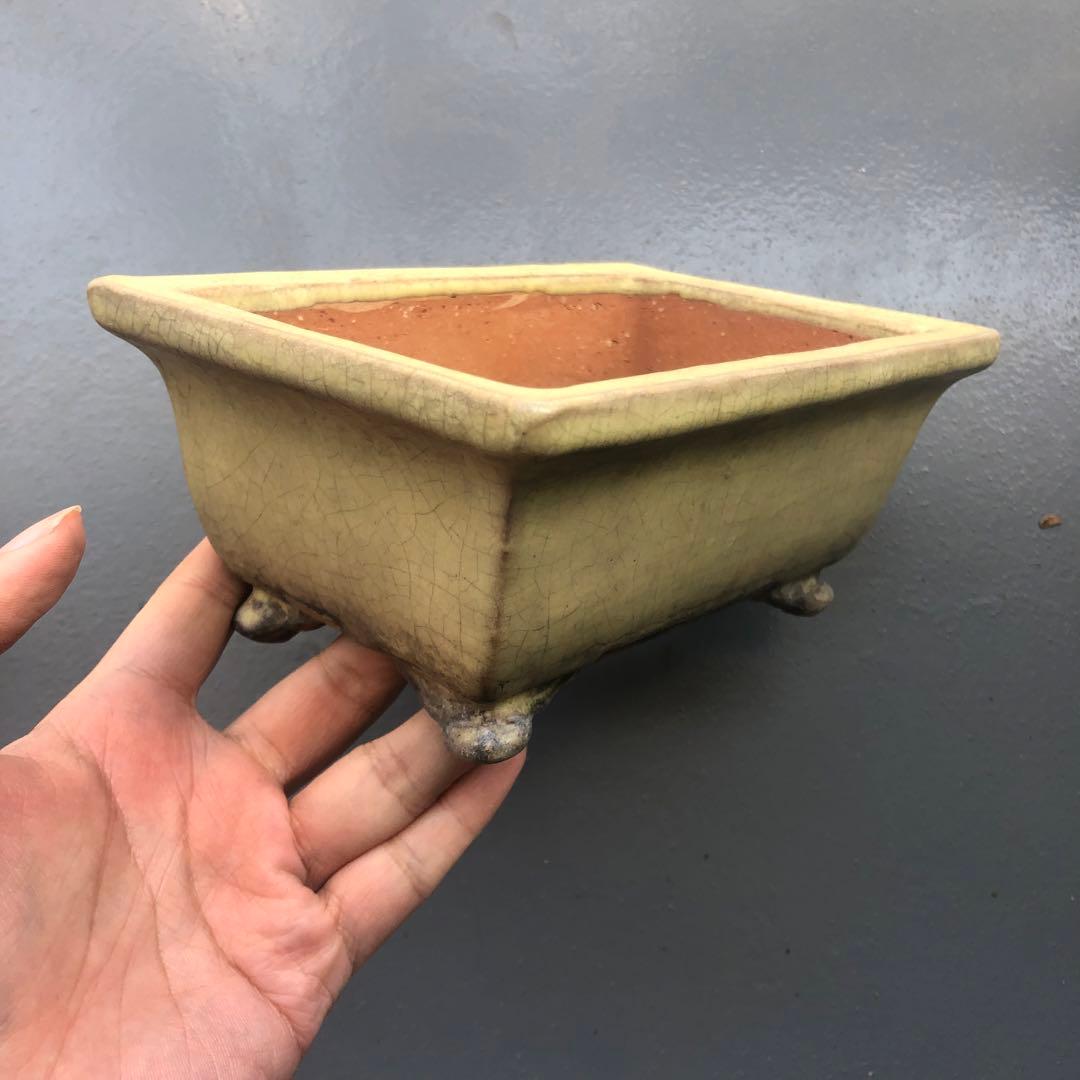 170.周寶山 黄釉雲足長方鉢 盆栽鉢 植木鉢 18*12.5*7.5cm
