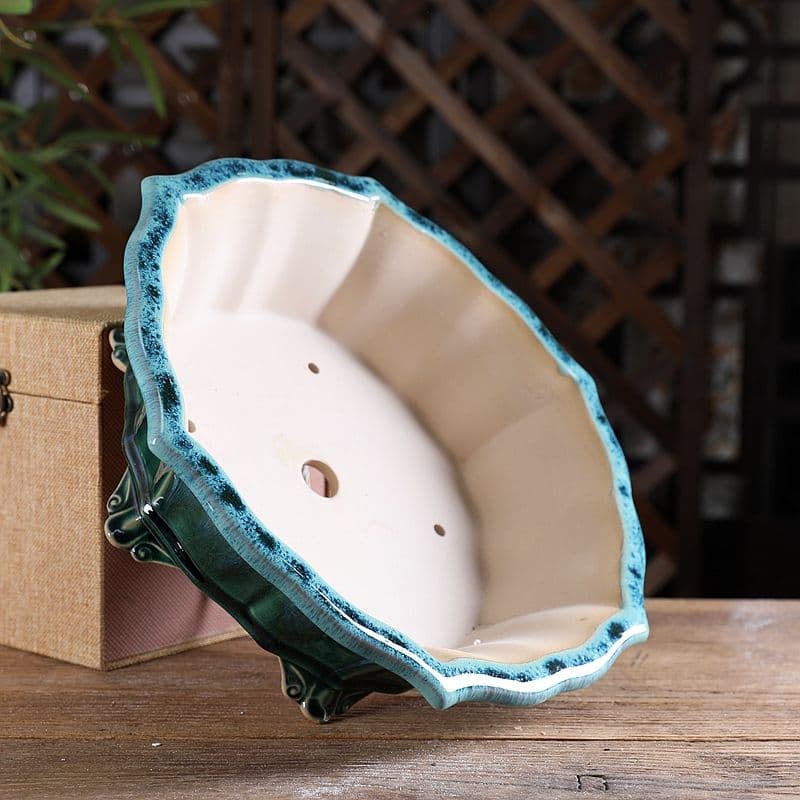 六方菱の鉢 多肉菖蒲盆栽 植木鉢 小品盆栽鉢 大品盆栽鉢