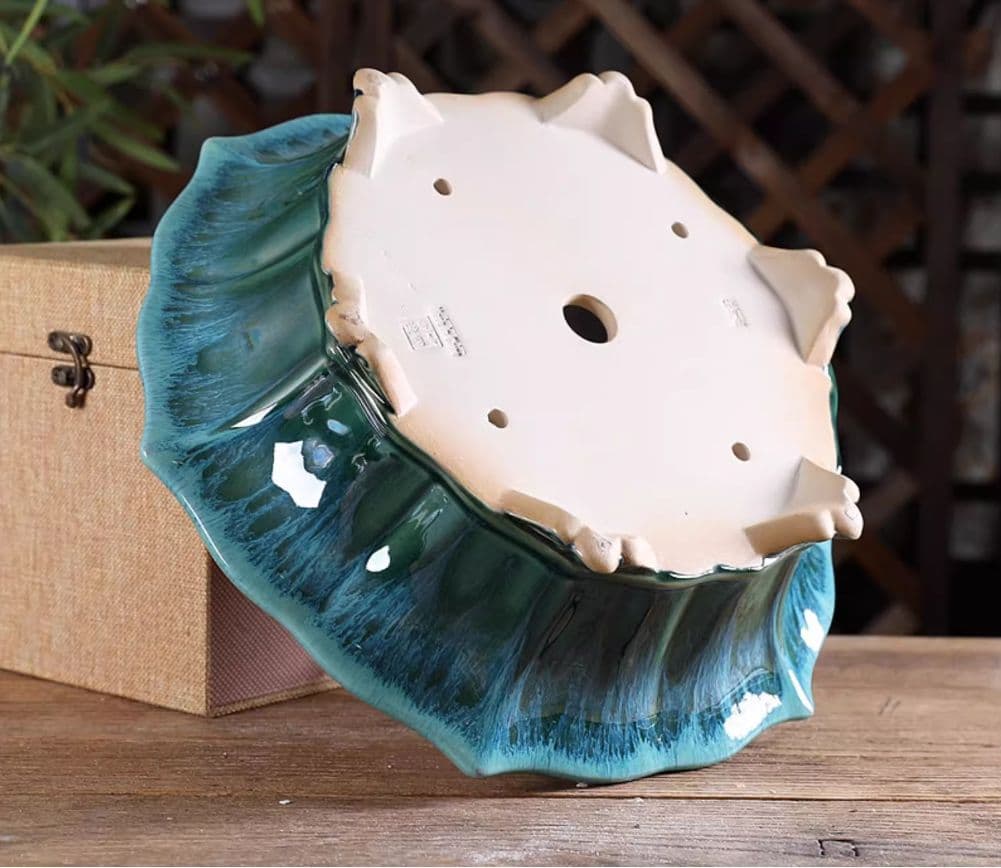 六方菱の鉢 多肉菖蒲盆栽 植木鉢 小品盆栽鉢 大品盆栽鉢