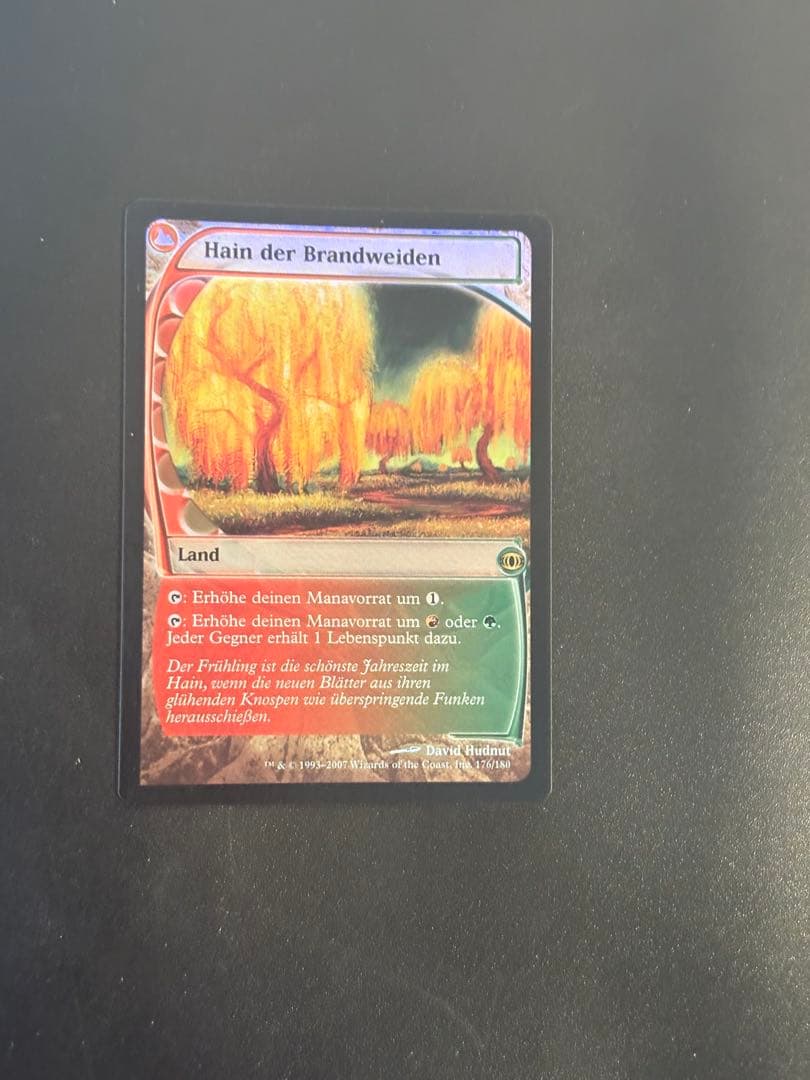 MTG 燃え柳の木立ち　foil ドイツ語