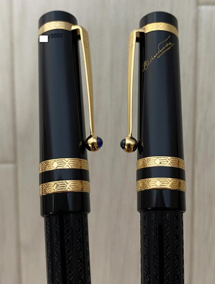 超美品 モンブラン 限定品 作家シリーズ ドストエフスキー シャーペン 修正有