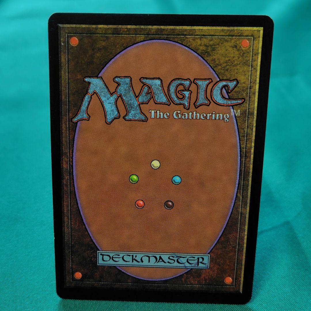 MTG 大地の知識 ２枚セット