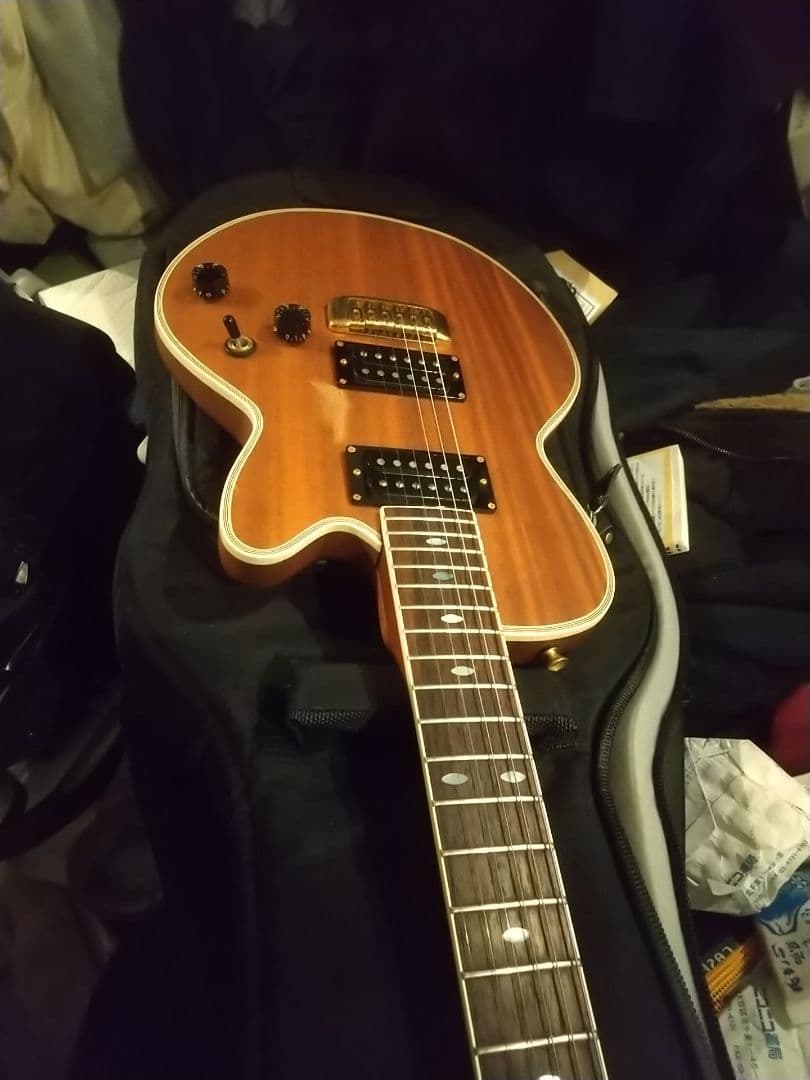 フジゲン/F&CアンボーイAnboy☆AF-55c オールマホガニー