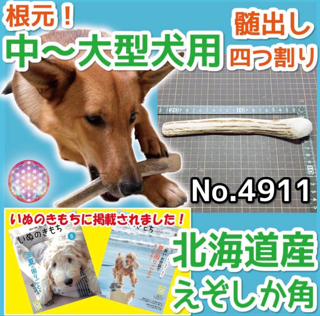 E＆R(๑•́‧̫•̀๑)♡♡　エゾシカの角