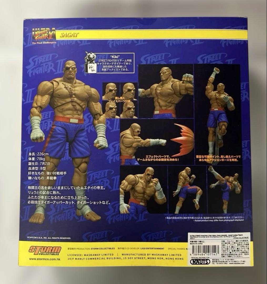 ザ・ファイナルチャレンジャーズ アクションフィギュア サガット