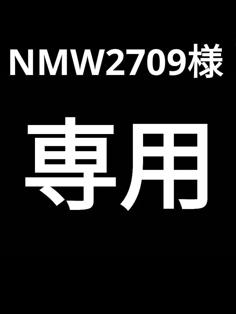 NMW2709ページ YS Studio フリーザ
