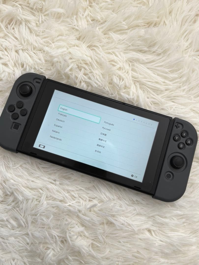 Nintendo Switch グレー ケース付き【訳あり】