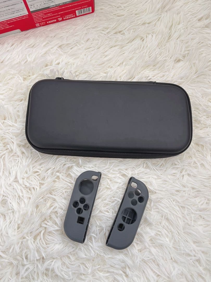 Nintendo Switch グレー ケース付き【訳あり】