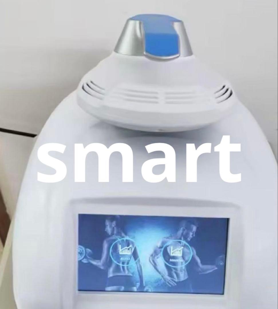 電磁パルス　ems 骨盤底筋　マグニート