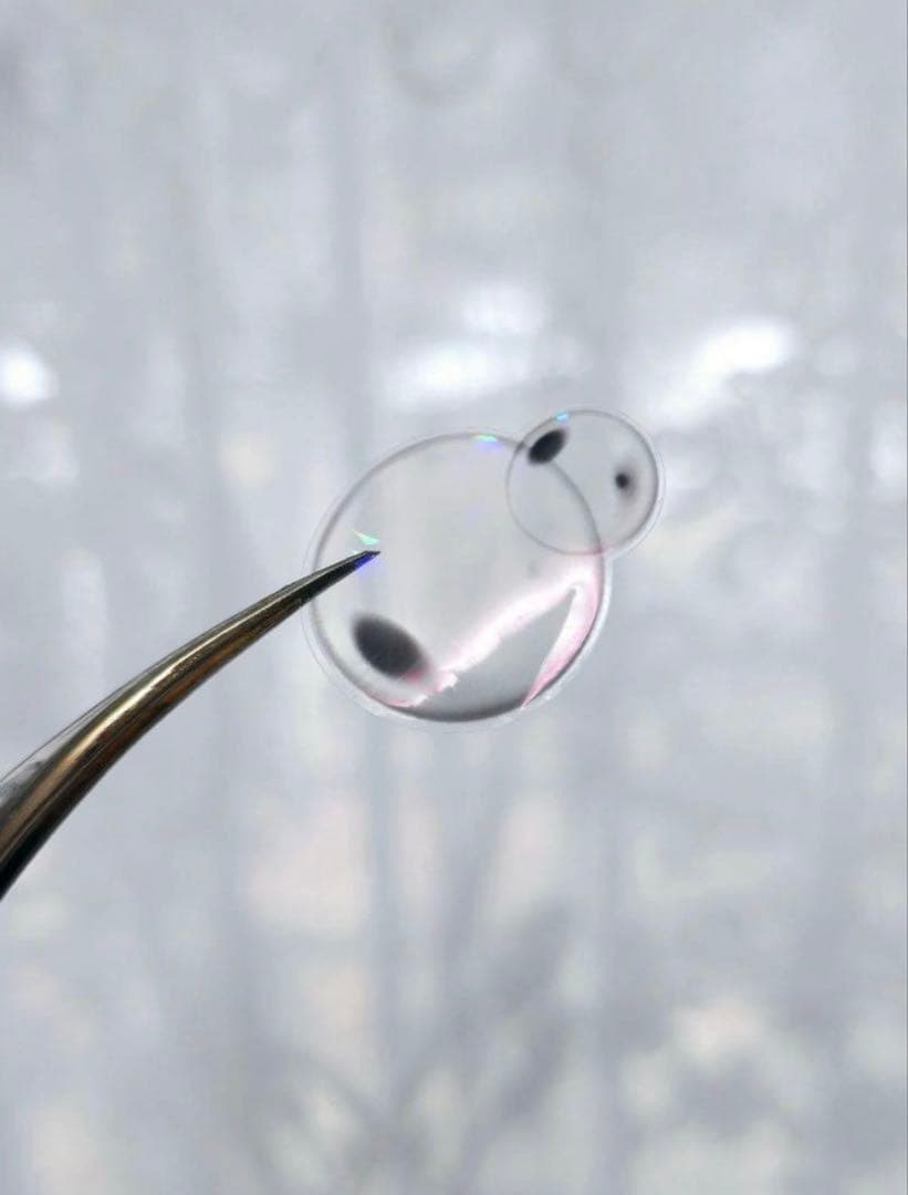 ggaggong 海外マスキングテープ　マステ 【2018】