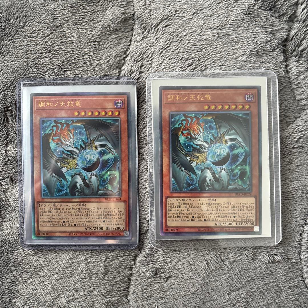 調和ノ天救竜 レリーフ　2枚セット