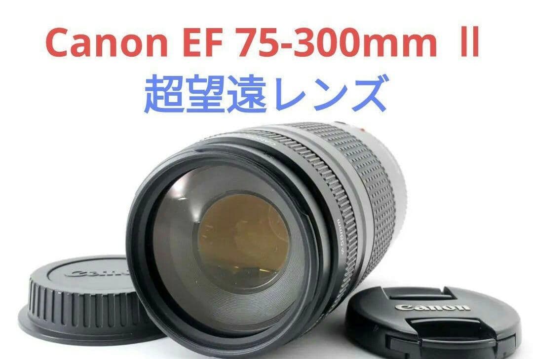 11月13日限定特価♪【超望遠レンズ】Canon EF 75-300mm Ⅱ