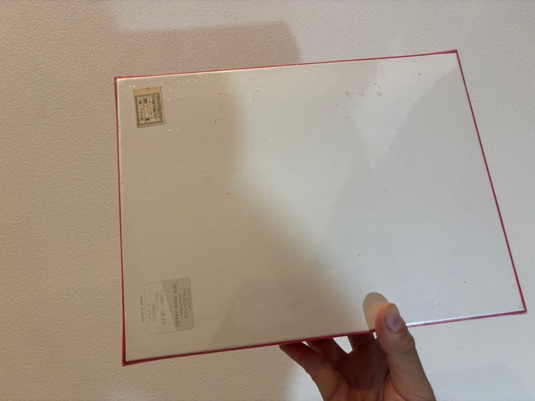 アポロ社　ジクソーパズル　スヌーピ　トム エバハート　1000ピース　廃盤