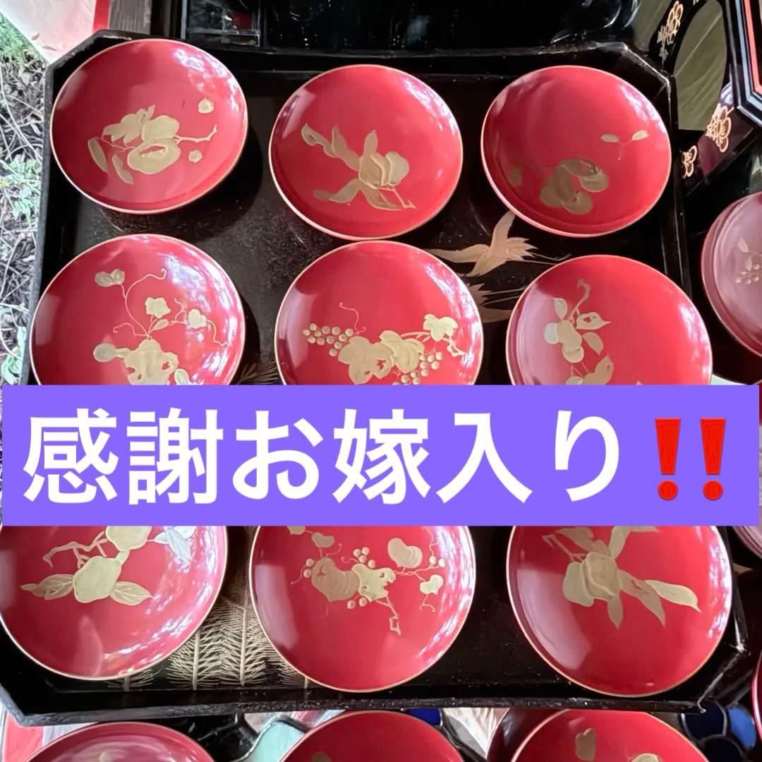 新春特別価格 ‼️高蒔絵『木の実』絵がわり引盃18客➕1プレゼント桐箱入茶道具