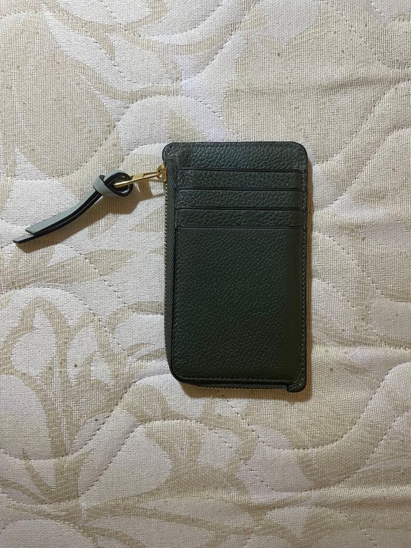 ロエベ LOEWE ケース　グリーン×イエロー