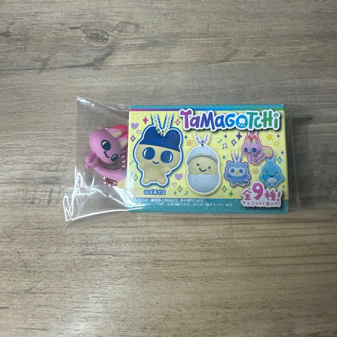 【新品未開封】たまごっち パラダイス　pink rand チョコボックス付き