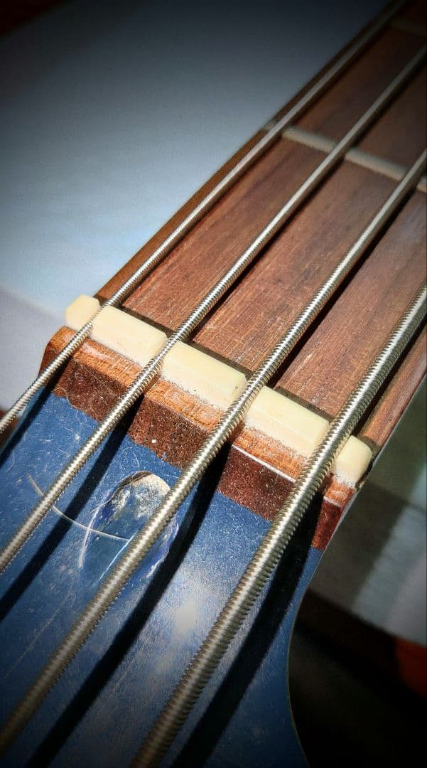 AoRin Tune ビンテージ配線材で音色調整　フォトジェニック