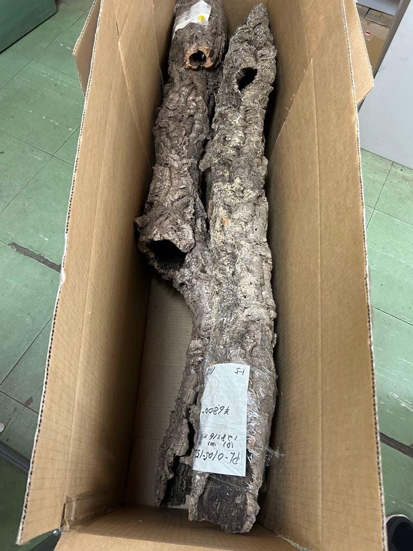 ＰＬ-0106-Ｌ5 1127-Ｌ2 0105-ＬＬ1