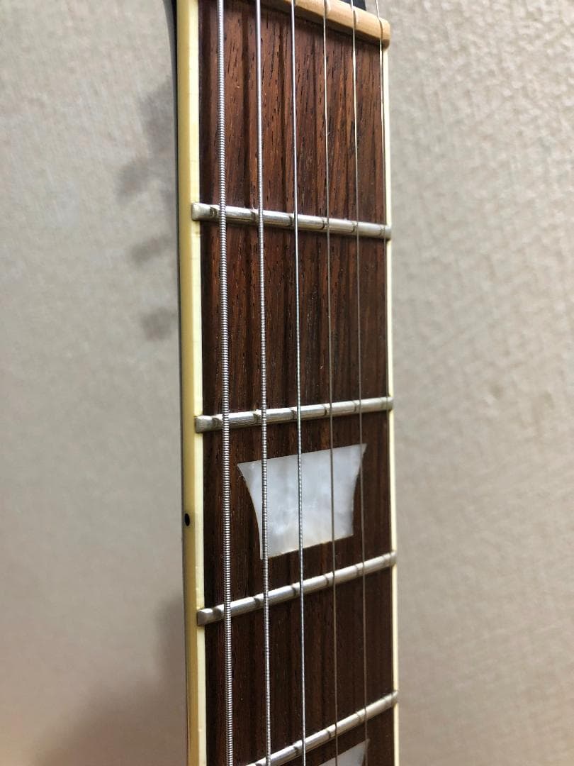 ギター Bacchus BSG-480?