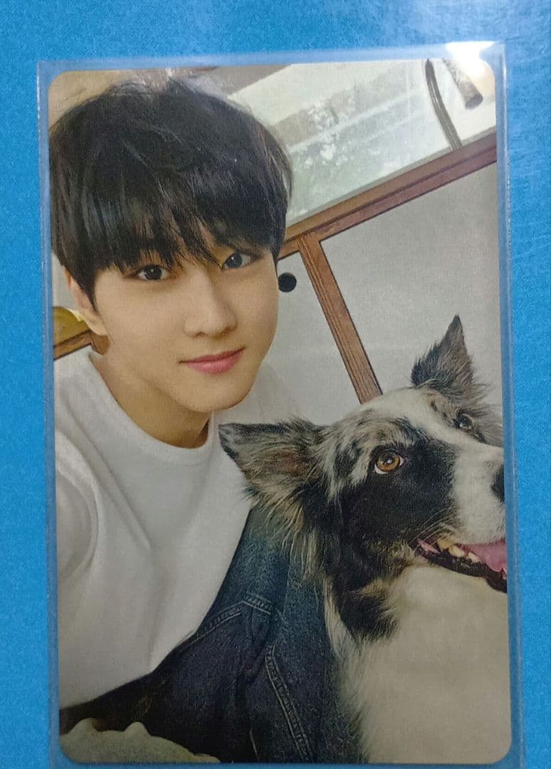 ENHYPEN 2025 アンケート トレカ ジョンウォン　1000人トレカ