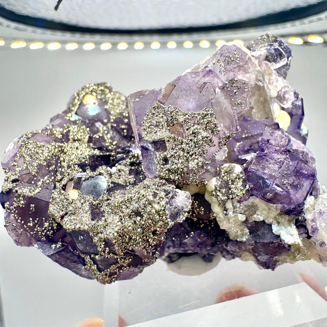 563 中国 内モンゴル産 フローライト&パイライト