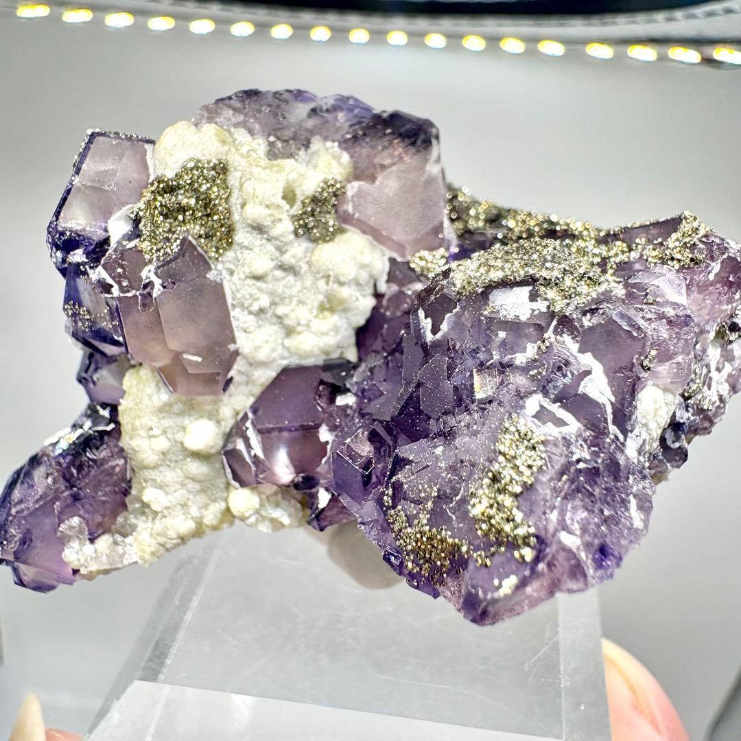 563 中国 内モンゴル産 フローライト&パイライト