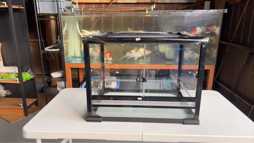 ケージ爬虫類60x45x45cm両生類飼育組み立て式　ガラス飼育ケージ 送料込み