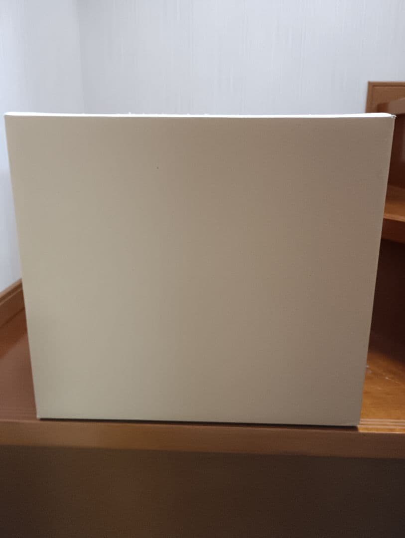 ドラゴンボールアライズ　ザーボン【通販限定特典付き】