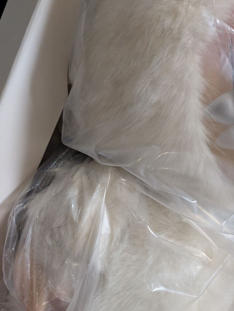 【正規品】ジモモ Angel in Clouds