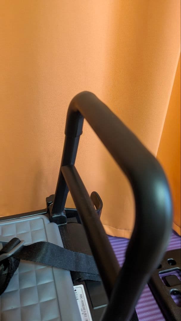 OGK 取り外しができる自転車用チャイルドシート RBC-009DXF3-B2