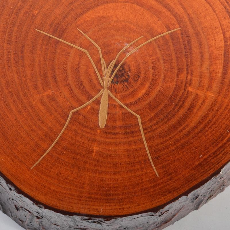 茶道具　道場宗廣作　水面蒔絵　松ノ木　香合　共箱　V　6334