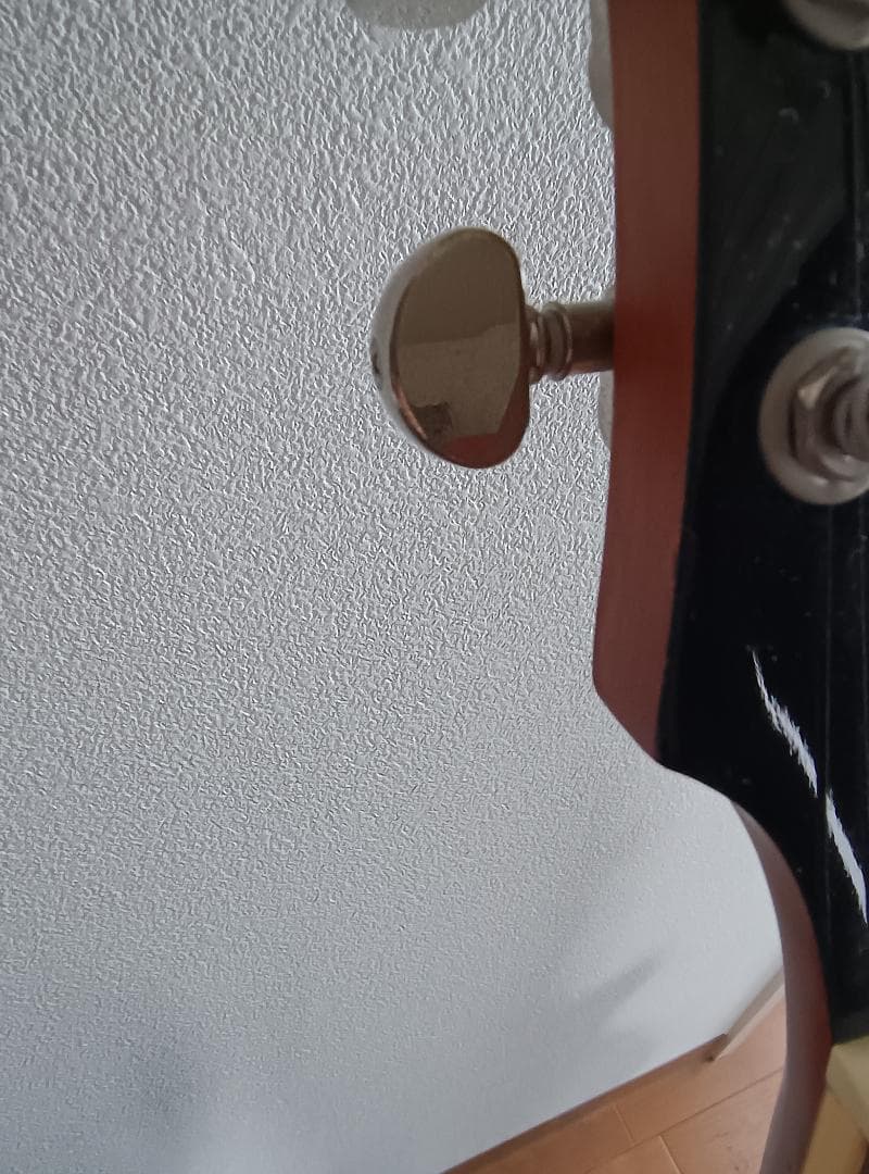 あいにゃん推しの人専用 Epiphone Les Paul