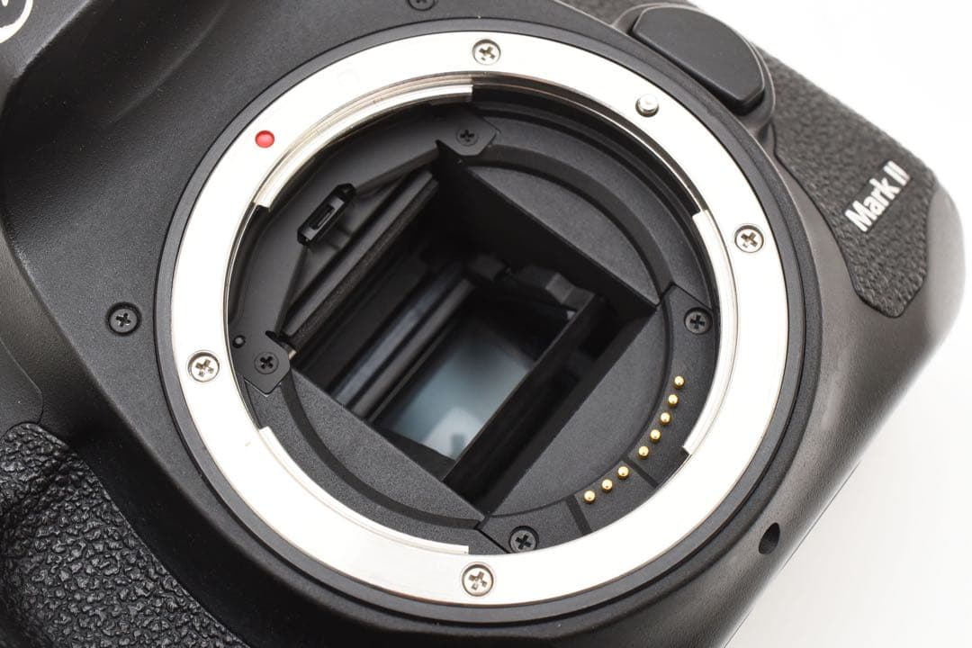 一眼レフカメラCanon EOS 7D MarkⅡ 標準&望遠ダブルレンズセット