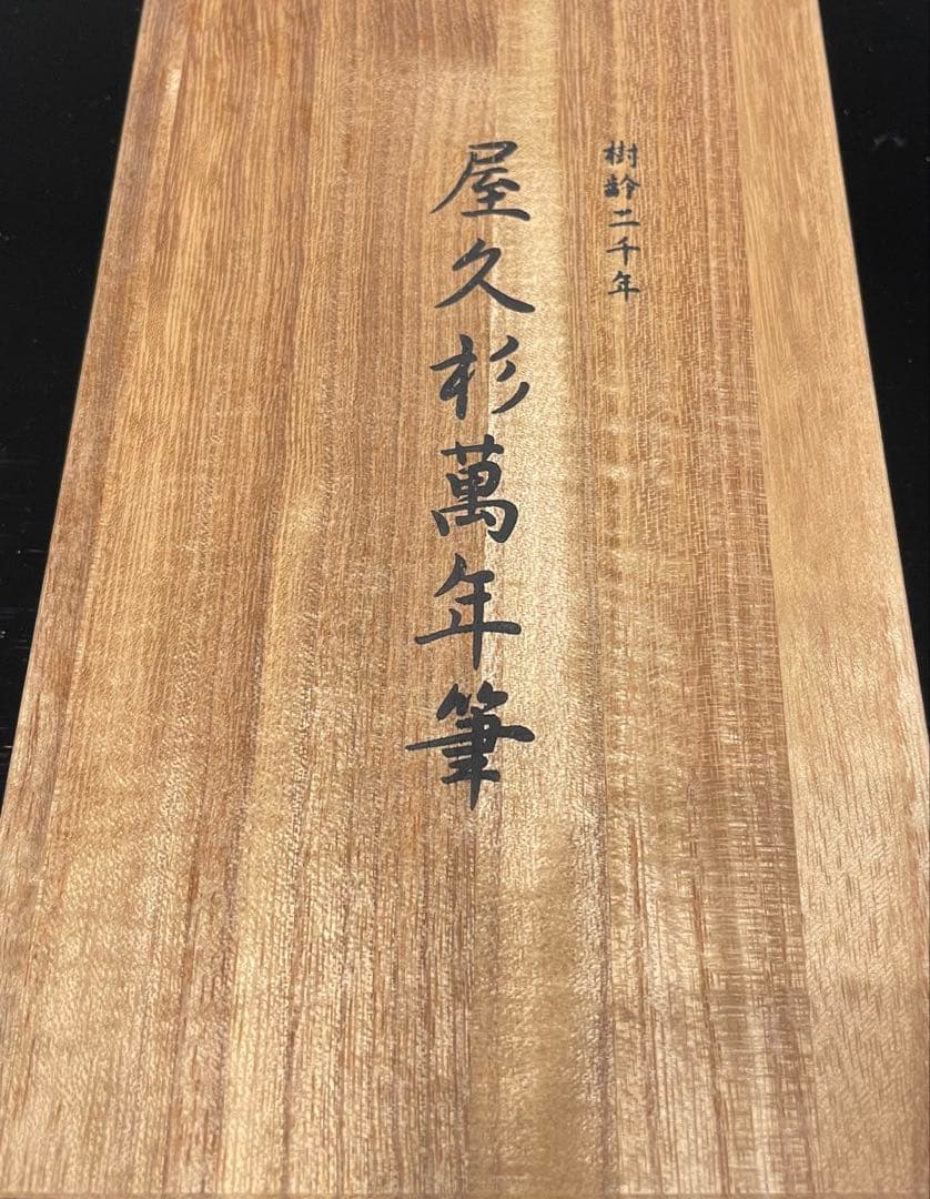 屋久杉万年筆 14K 桐箱付き PTB-50000Y #3776