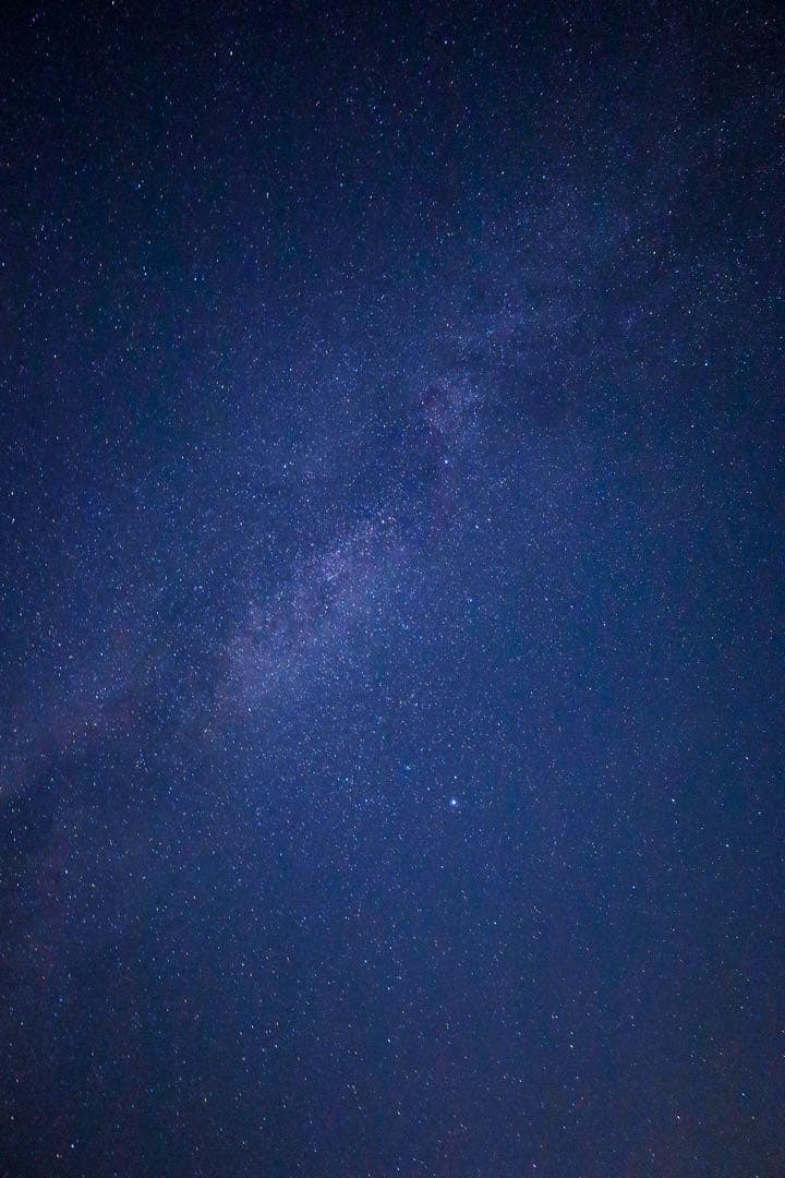 Canon レンズ RF24-105mm F4-7.1 保護フィルター 作例あり