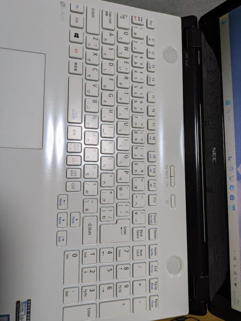 NEC LAVIE 整備品 美品 SSD新品256GB 8GB Win11