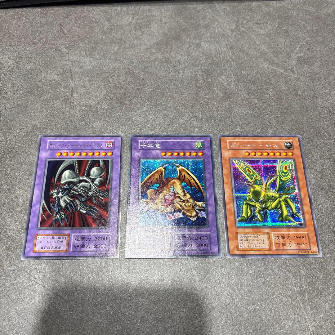 ＊シュゲー カード154枚＋パタゴニアダウンベスト