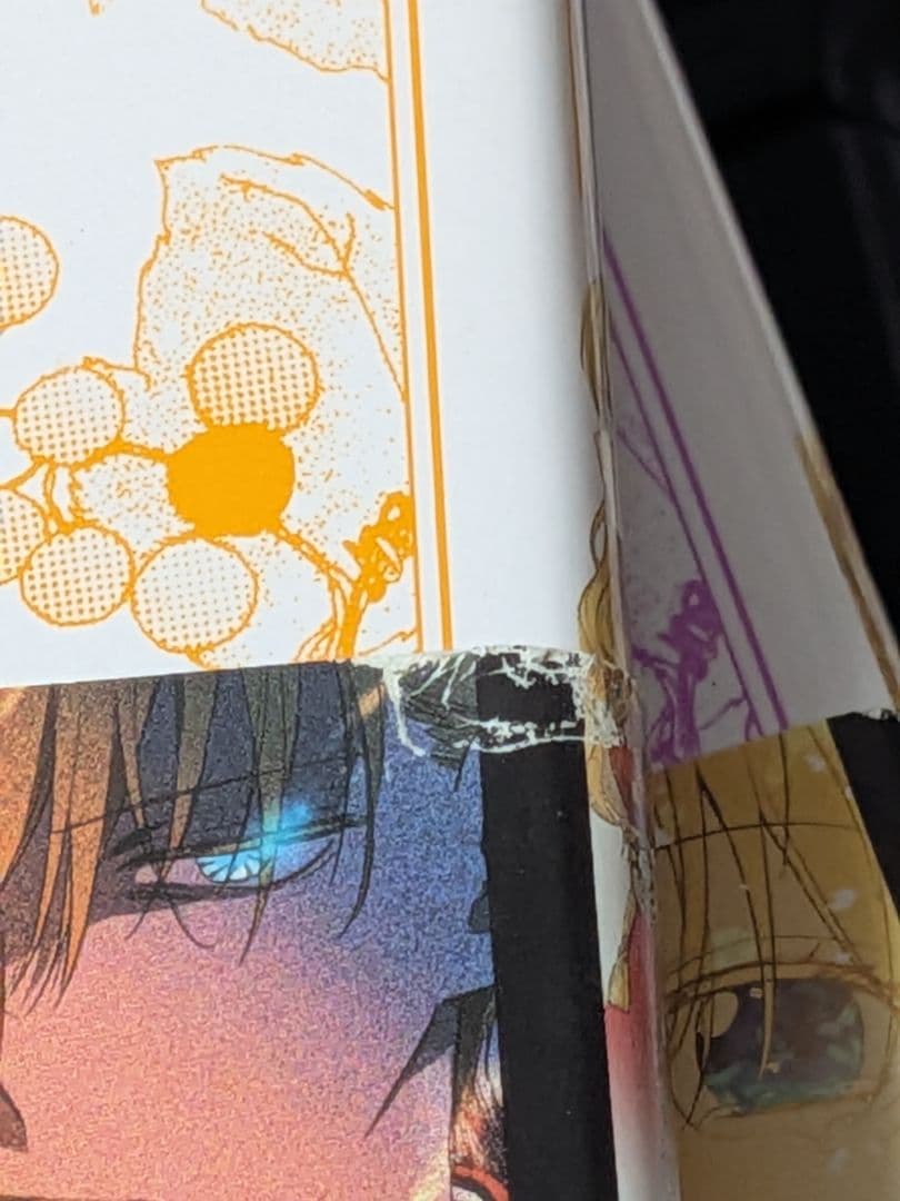 25日まで‼️ ある日、お姫様になってしまった件　全巻