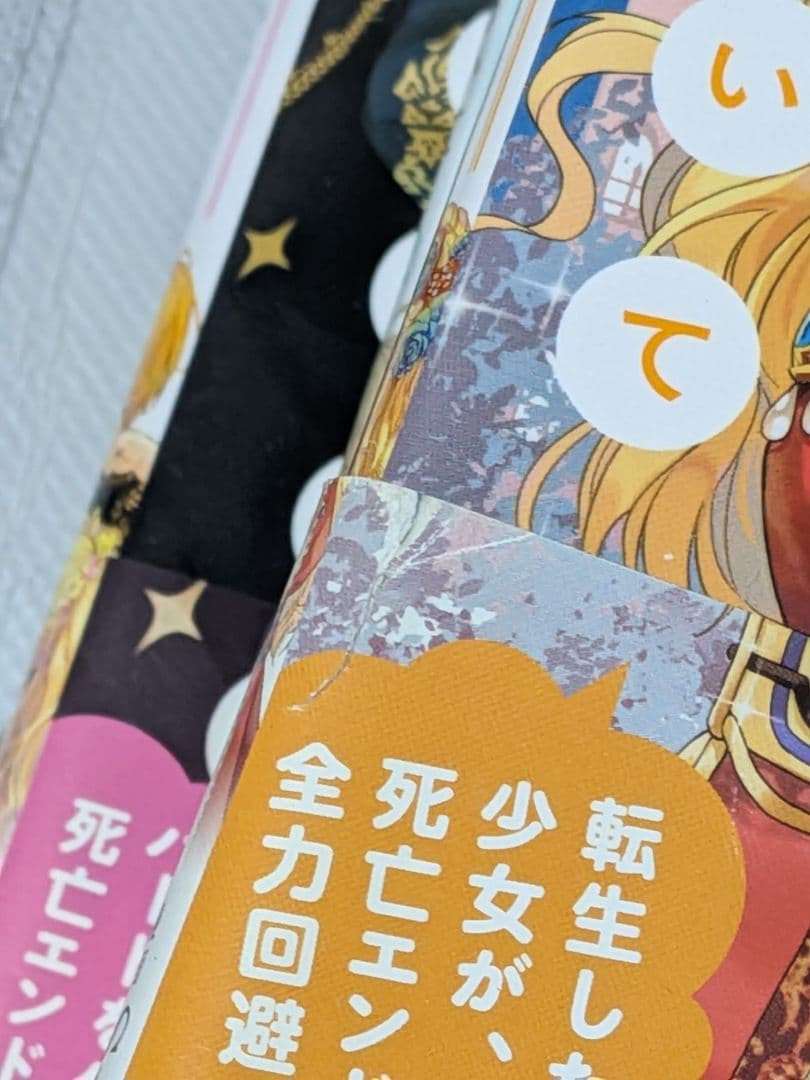 25日まで‼️ ある日、お姫様になってしまった件　全巻